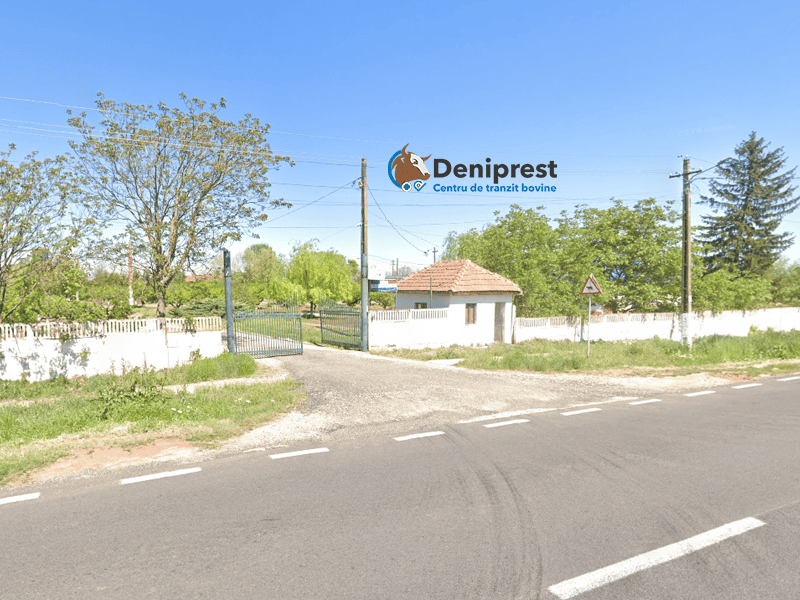 Localizare DeniPrest n